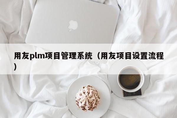 用友plm项目管理系统（用友项目设置流程）