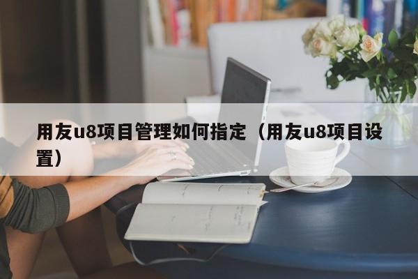 用友u8项目管理如何指定（用友u8项目设置）