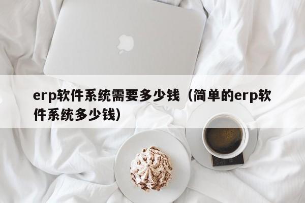 erp软件系统需要多少钱（简单的erp软件系统多少钱）