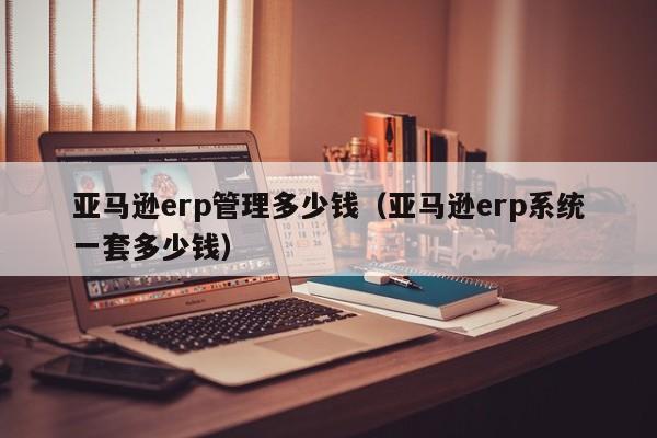 亚马逊erp管理多少钱（亚马逊erp系统一套多少钱）