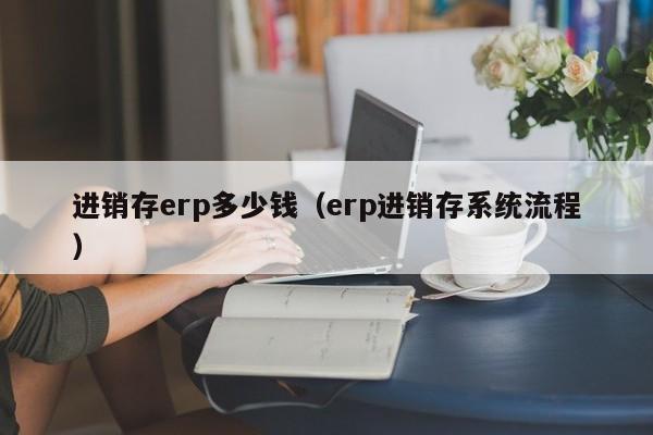 进销存erp多少钱（erp进销存系统流程）