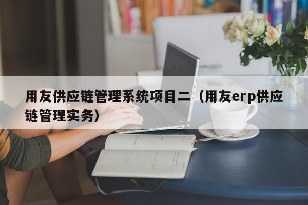 用友供应链管理系统项目二（用友erp供应链管理实务）