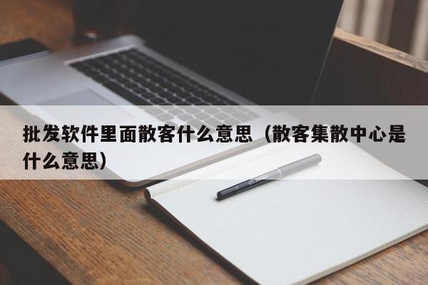 批发软件里面散客什么意思（散客集散中心是什么意思）