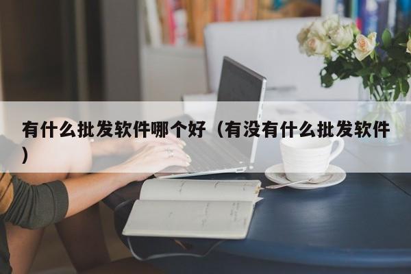 有什么批发软件哪个好（有没有什么批发软件）