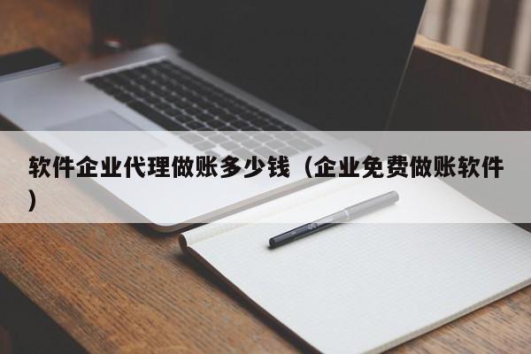 软件企业代理做账多少钱（企业免费做账软件）