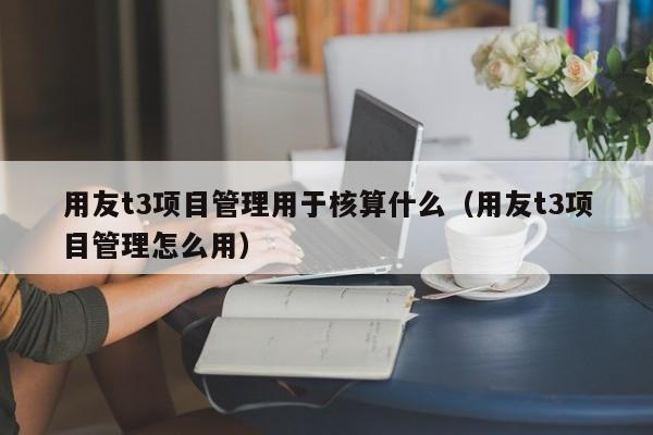 用友t3项目管理用于核算什么（用友t3项目管理怎么用）