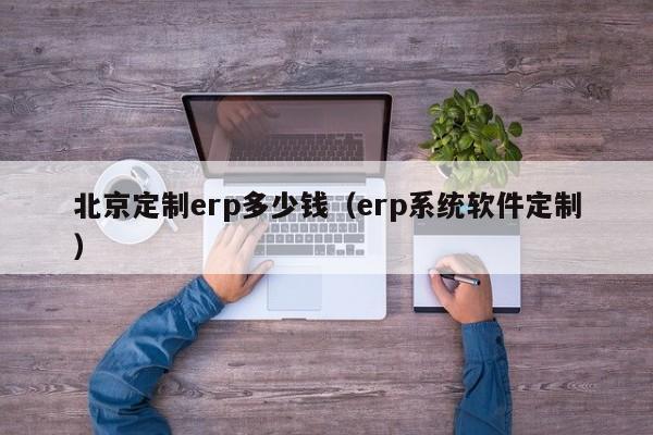 北京定制erp多少钱（erp系统软件定制）