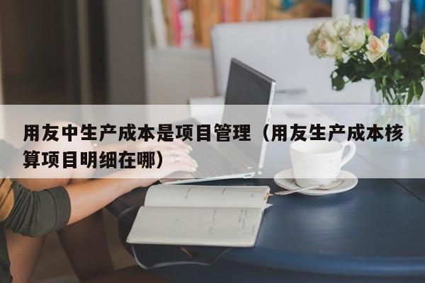 用友中生产成本是项目管理（用友生产成本核算项目明细在哪）