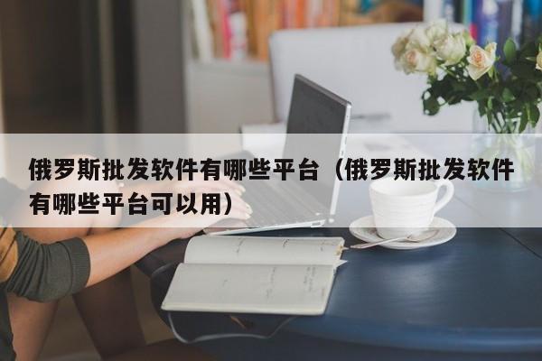 俄罗斯批发软件有哪些平台（俄罗斯批发软件有哪些平台可以用）