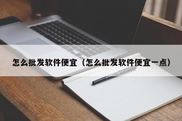 怎么批发软件便宜（怎么批发软件便宜一点）