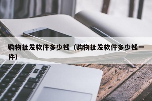 购物批发软件多少钱（购物批发软件多少钱一件）