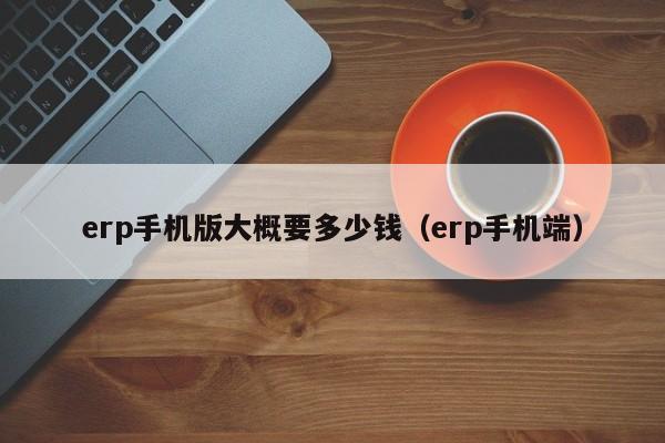 erp手机版大概要多少钱（erp手机端）