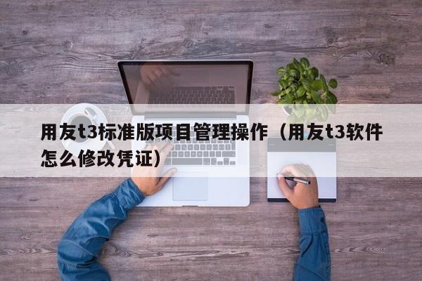 用友t3标准版项目管理操作（用友t3软件怎么修改凭证）