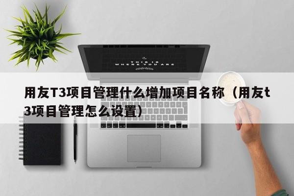 用友T3项目管理什么增加项目名称（用友t3项目管理怎么设置）