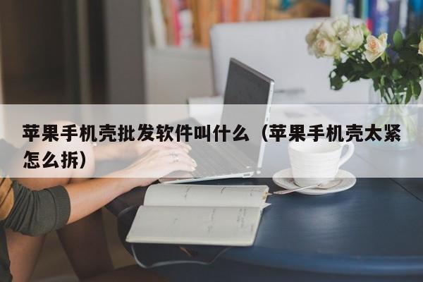 苹果手机壳批发软件叫什么（苹果手机壳太紧怎么拆）