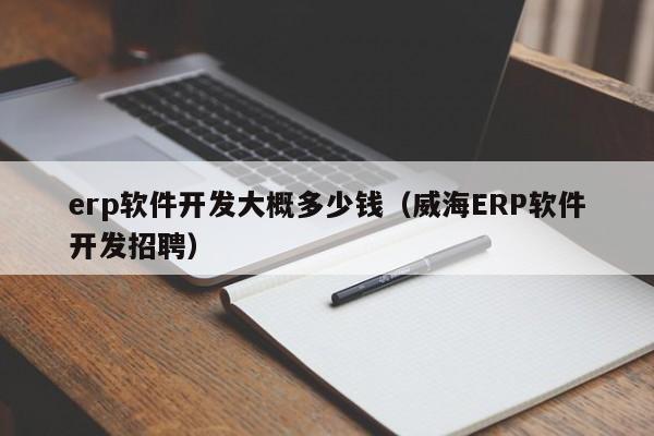 erp软件开发大概多少钱（威海ERP软件开发招聘）