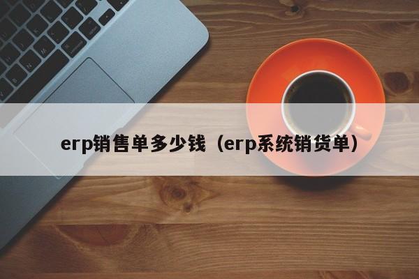 erp销售单多少钱（erp系统销货单）