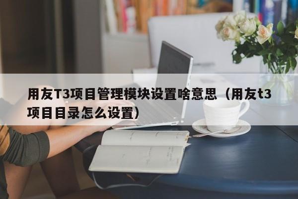 用友T3项目管理模块设置啥意思（用友t3项目目录怎么设置）