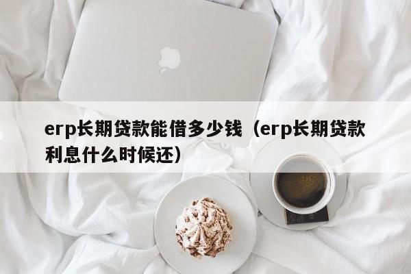 erp长期贷款能借多少钱（erp长期贷款利息什么时候还）