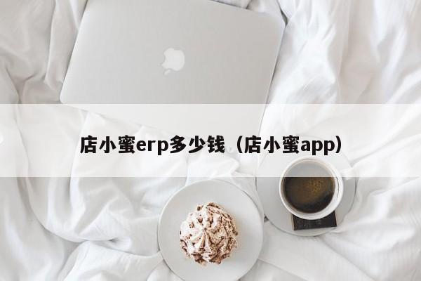 店小蜜erp多少钱（店小蜜app）