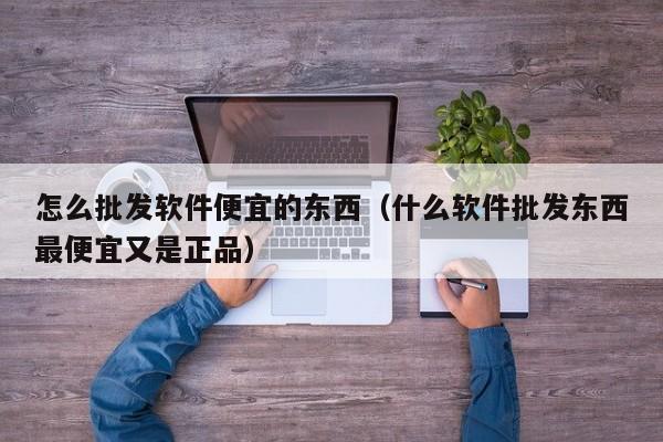 怎么批发软件便宜的东西（什么软件批发东西最便宜又是正品）