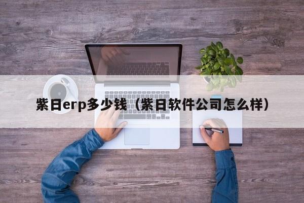 紫日erp多少钱（紫日软件公司怎么样）