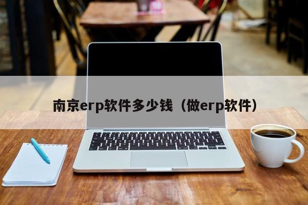 南京erp软件多少钱（做erp软件）