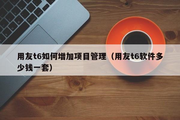 用友t6如何增加项目管理（用友t6软件多少钱一套）