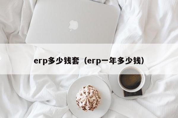 erp多少钱套（erp一年多少钱）