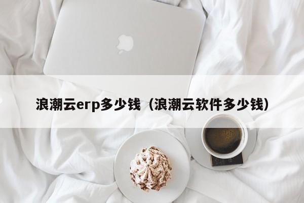 浪潮云erp多少钱（浪潮云软件多少钱）