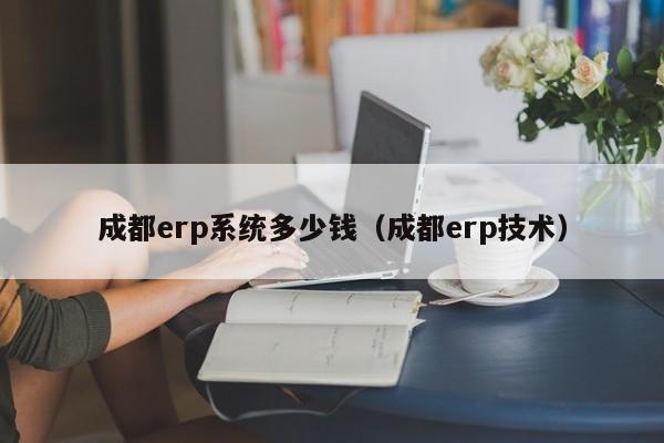 成都erp系统多少钱（成都erp技术）