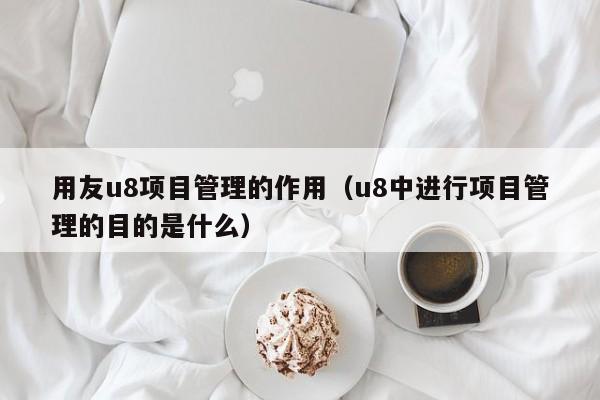 用友u8项目管理的作用（u8中进行项目管理的目的是什么）