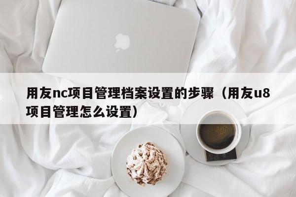 用友nc项目管理档案设置的步骤（用友u8项目管理怎么设置）