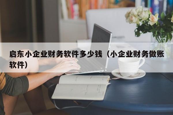 启东小企业财务软件多少钱（小企业财务做账软件）