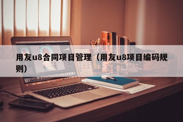 用友u8合同项目管理（用友u8项目编码规则）