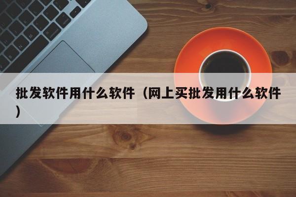 批发软件用什么软件（网上买批发用什么软件）