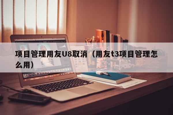 项目管理用友U8取消（用友t3项目管理怎么用）