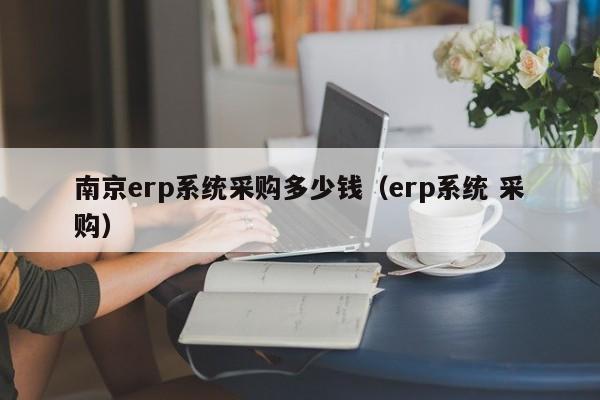 南京erp系统采购多少钱（erp系统 采购）