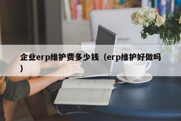 企业erp维护费多少钱（erp维护好做吗）