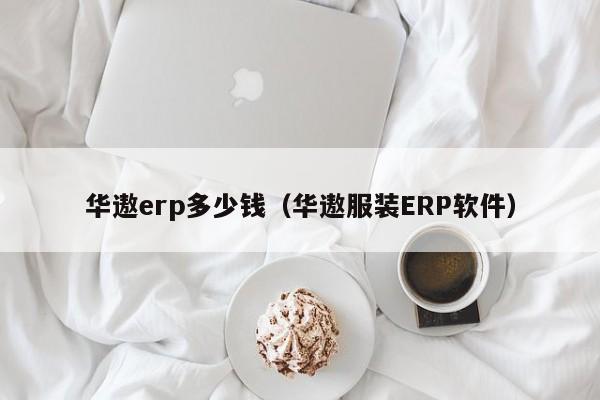 华遨erp多少钱（华遨服装ERP软件）