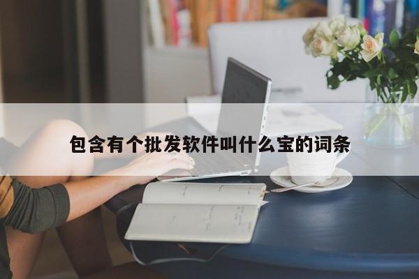 包含有个批发软件叫什么宝的词条