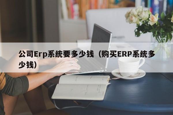 公司Erp系统要多少钱（购买ERP系统多少钱）