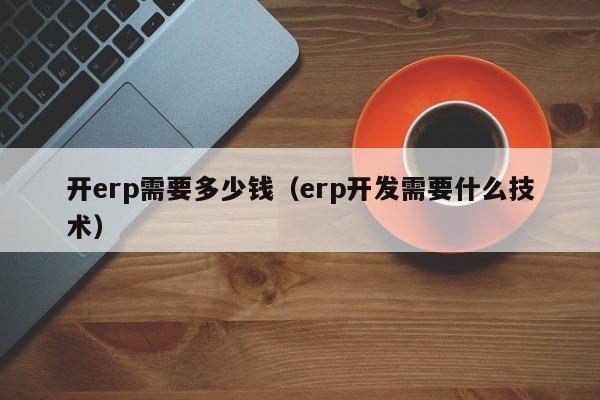 开erp需要多少钱（erp开发需要什么技术）