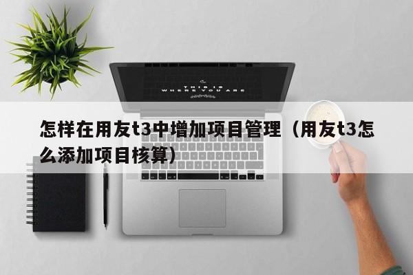 怎样在用友t3中增加项目管理（用友t3怎么添加项目核算）