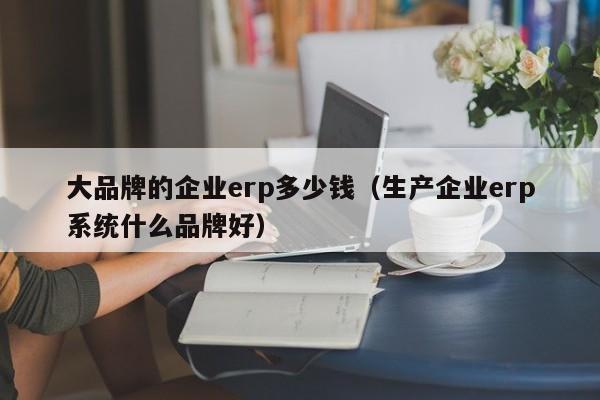 大品牌的企业erp多少钱（生产企业erp系统什么品牌好）