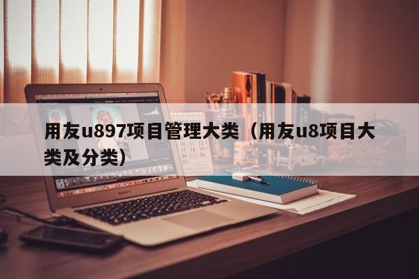 用友u897项目管理大类（用友u8项目大类及分类）