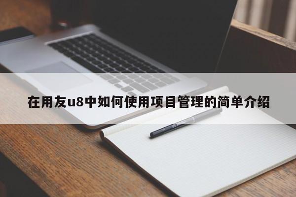 在用友u8中如何使用项目管理的简单介绍