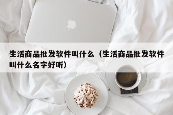 生活商品批发软件叫什么（生活商品批发软件叫什么名字好听）