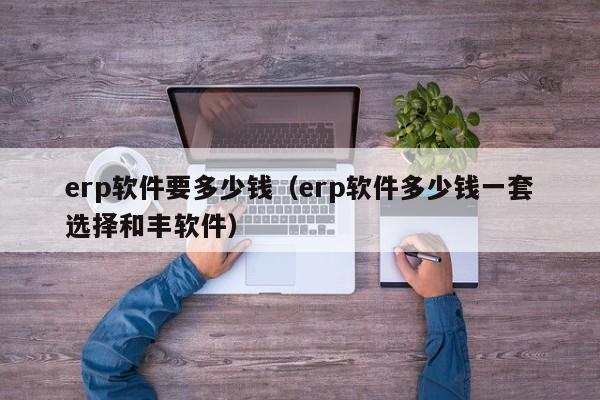 erp软件要多少钱（erp软件多少钱一套选择和丰软件）