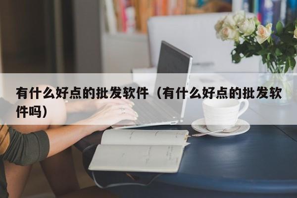 有什么好点的批发软件（有什么好点的批发软件吗）